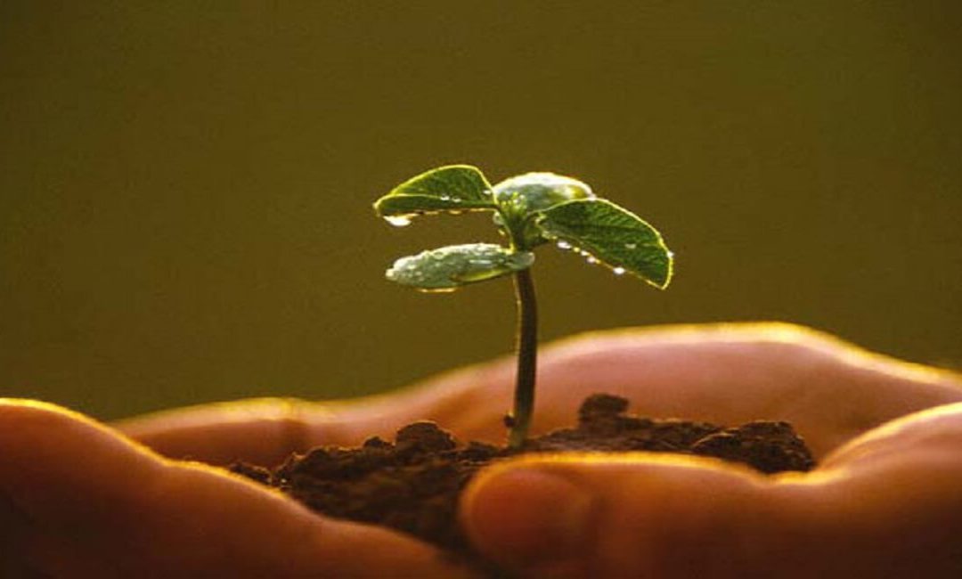 Cultura, Diversità e Agroecologia al Laboratorio di Diritto ed Economia della Cultura