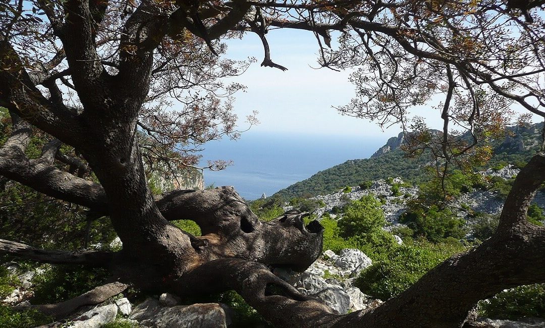 Terre Civiche: Ambiente, Comunità, Coesione Sociale e Sviluppo Territoriale